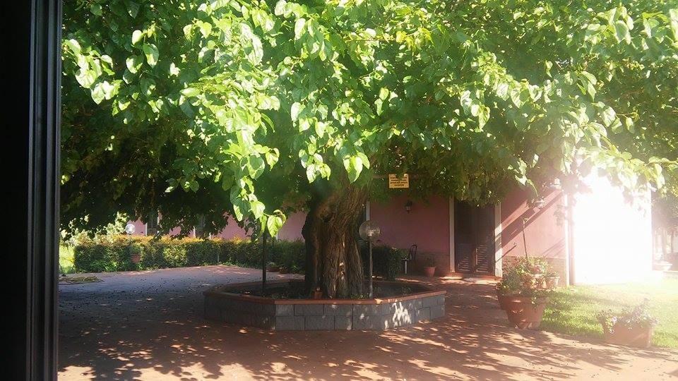 Agriturismo Il Pozzo Antico 마스칼리 외부 사진