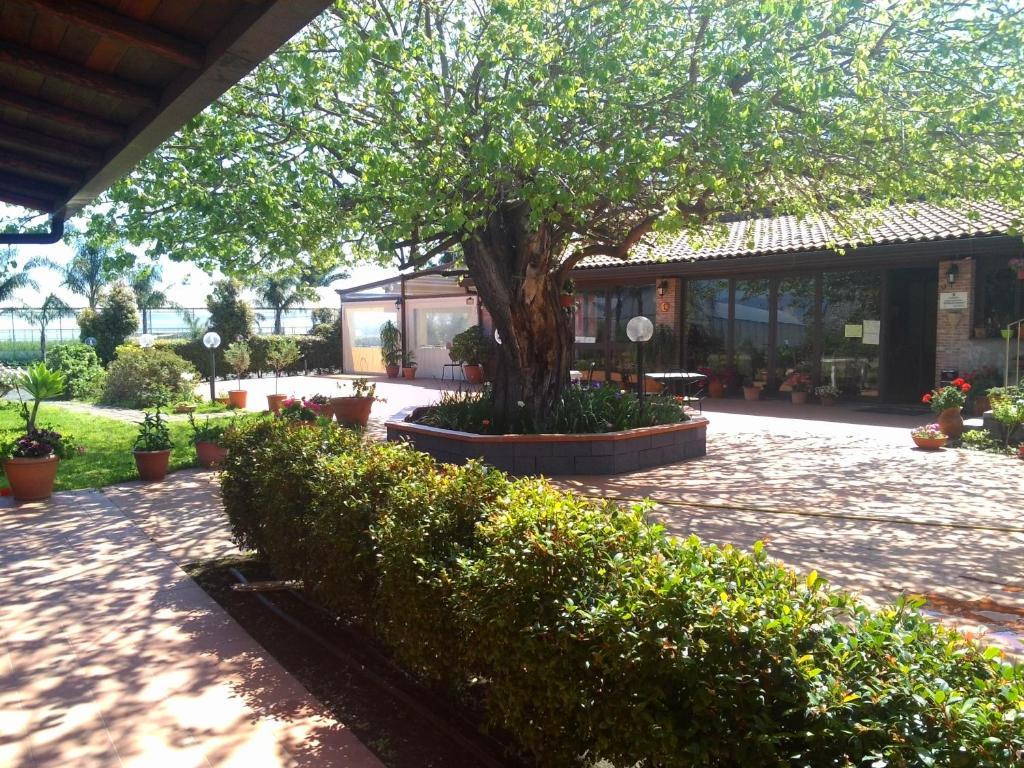 Agriturismo Il Pozzo Antico 마스칼리 외부 사진
