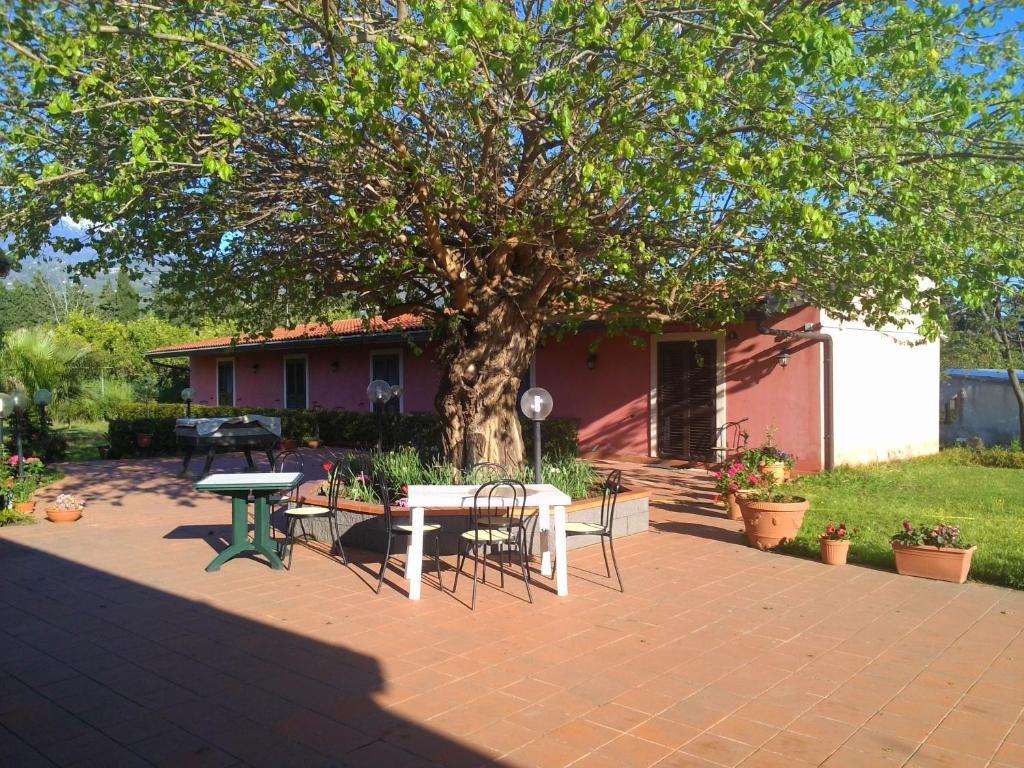 Agriturismo Il Pozzo Antico 마스칼리 외부 사진